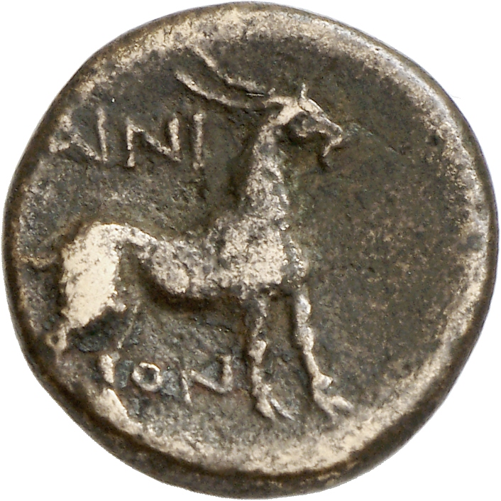 реверс CN Type cn.aenus.1_ed.138