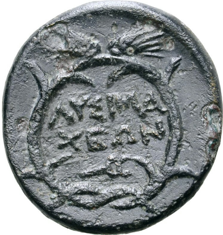 CN Type 12105, реверс, cn-coins
