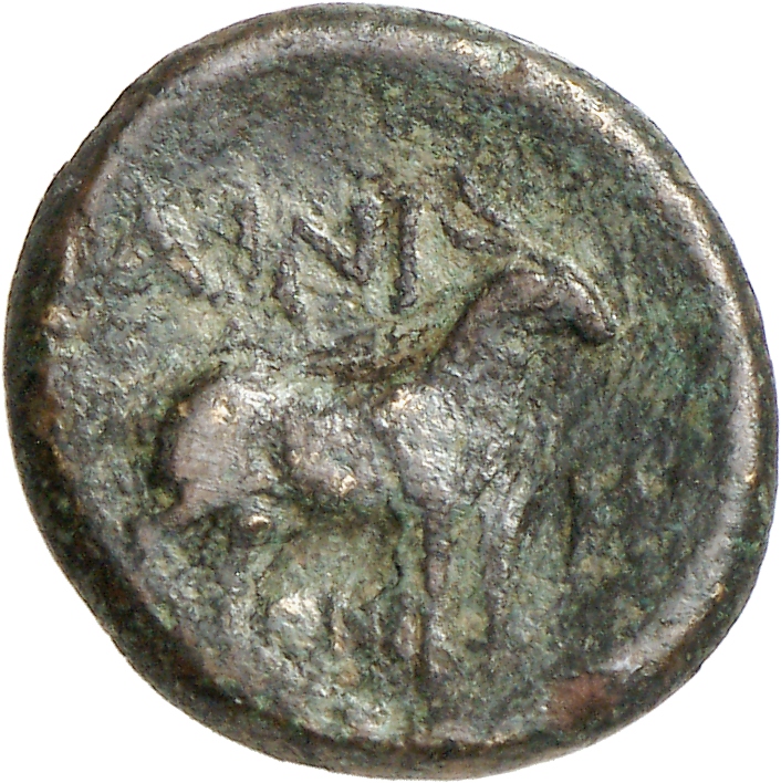 реверс CN Type cn.aenus.1_ed.150
