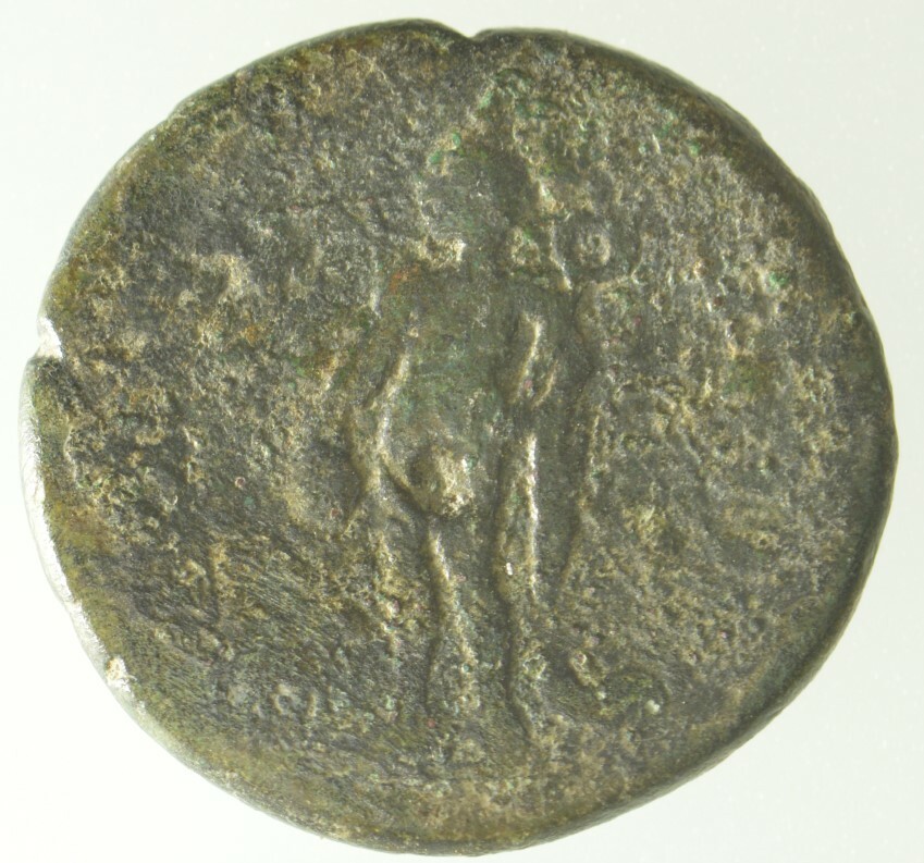реверс CN Type cn.aenus.1_ed.172