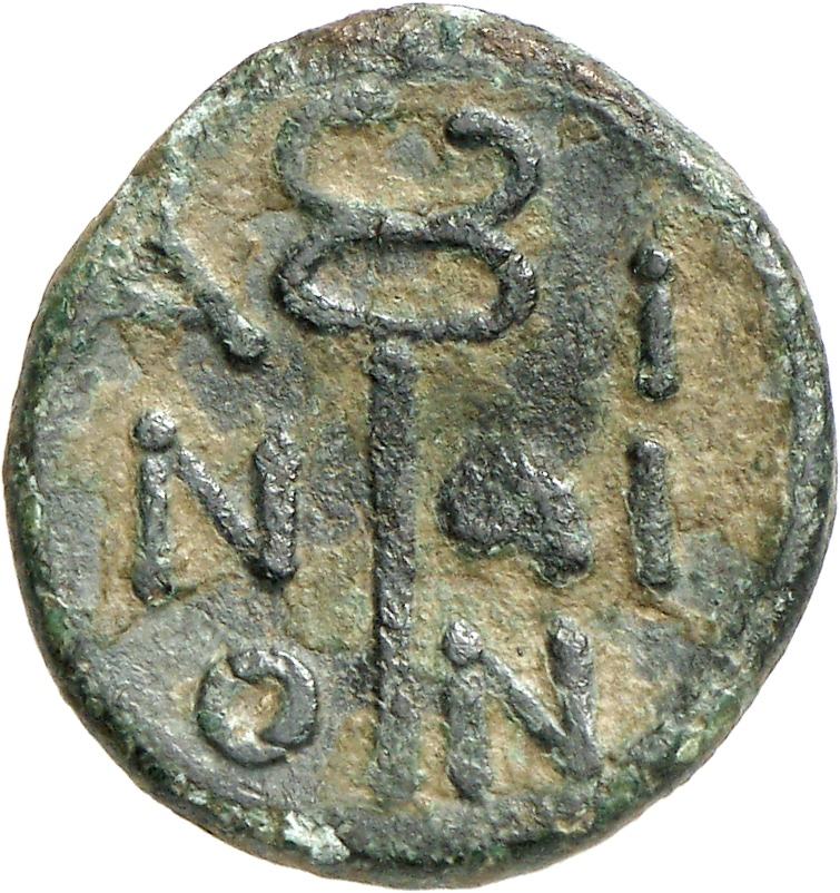 реверс CN Type cn.aenus.1_ed.144