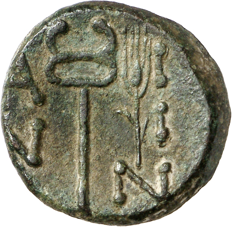 реверс CN Type cn.aenus.1_ed.147