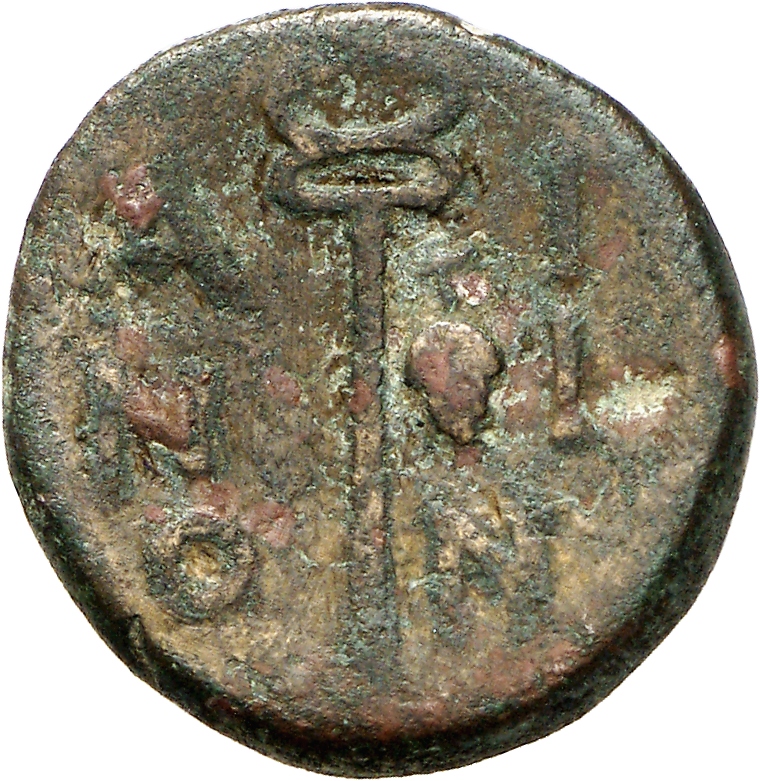 реверс CN Type cn.aenus.1_ed.145