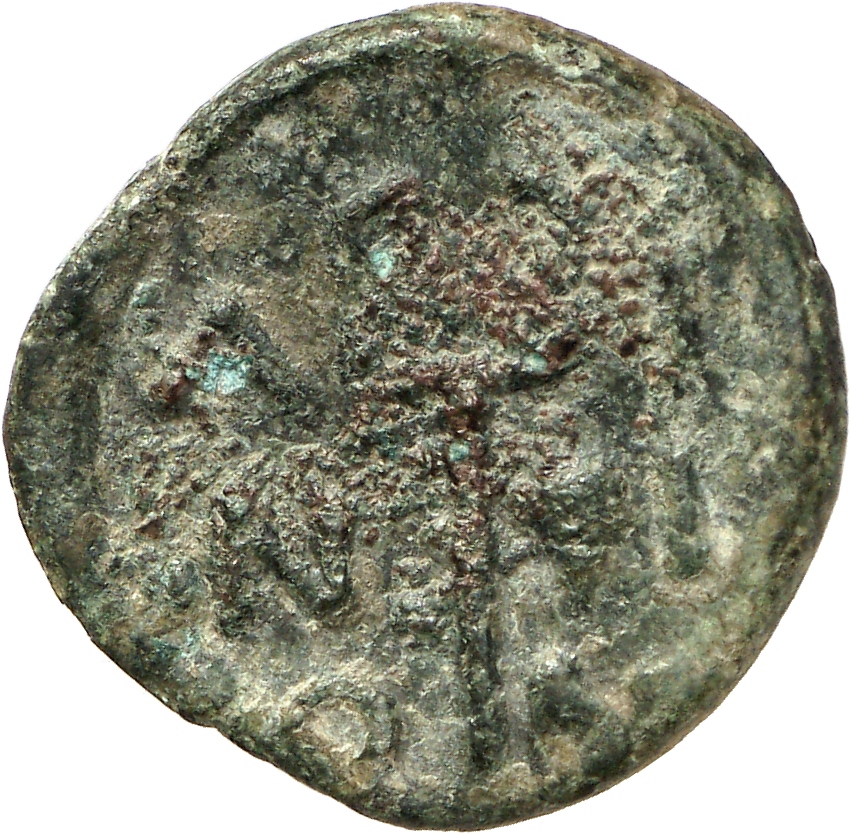 CN Type cn.aenus.1_ed.145, реверс, cn-coins