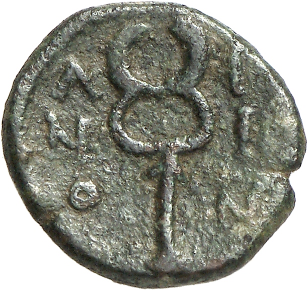 реверс CN Type cn.aenus.1_ed.160