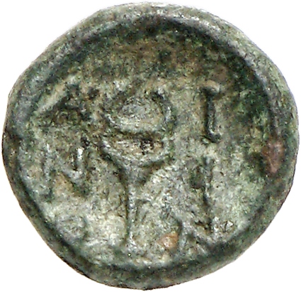 реверс CN Type cn.aenus.1_ed.158