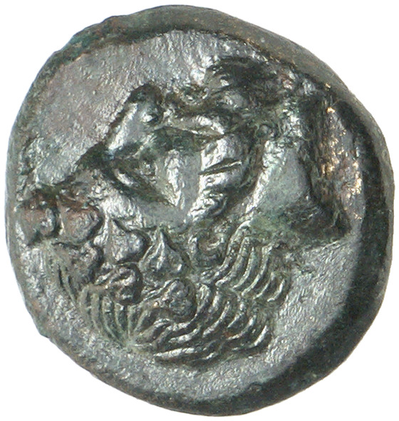 CN Type cn.cetriporis.1_ed.2, аверс, cn-coins
