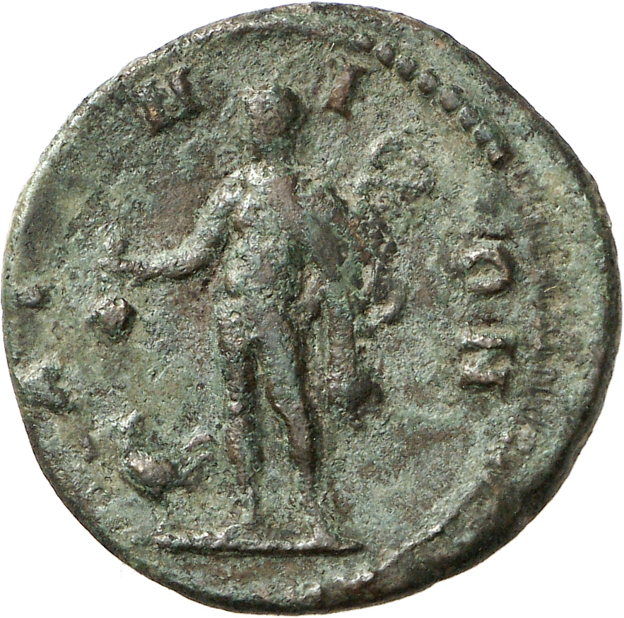 реверс CN Type cn.aenus.1_ed.173