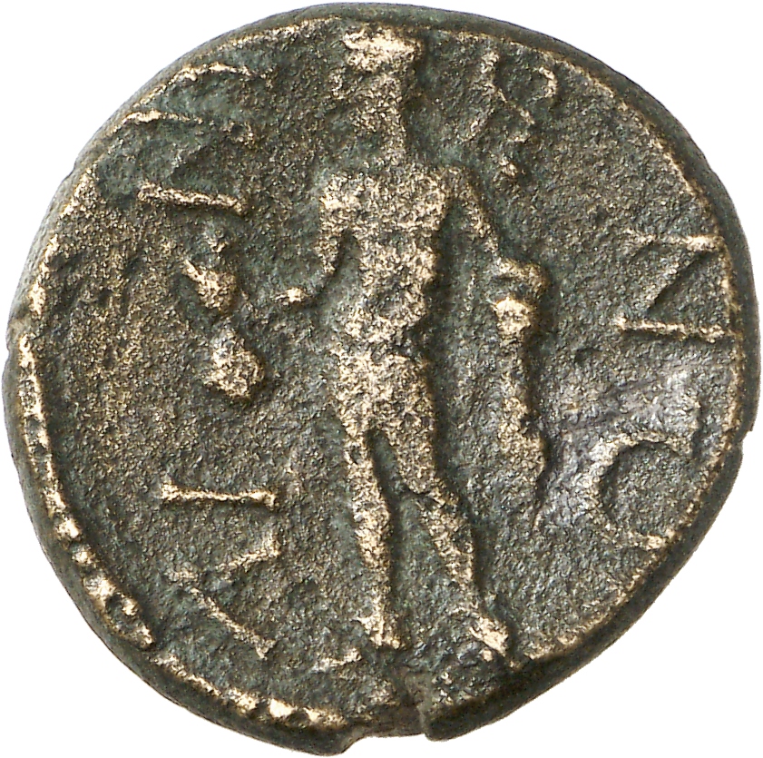 реверс CN Type cn.aenus.1_ed.169