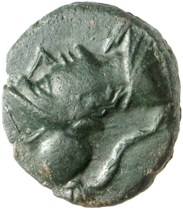 CN Type cn.samothrace.1_ed.64, аверс, Corpus Nummorum