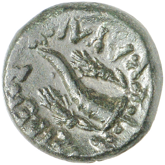 реверс CN Type cn.cavarus_tylis_thrace.1_ed.3
