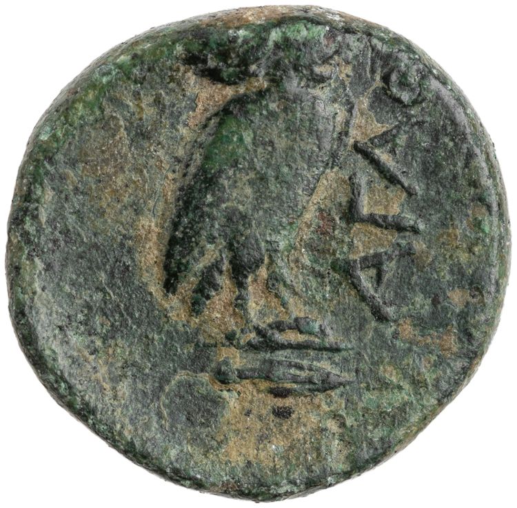 реверс CN Type cn.agathopolis.1_ed.3