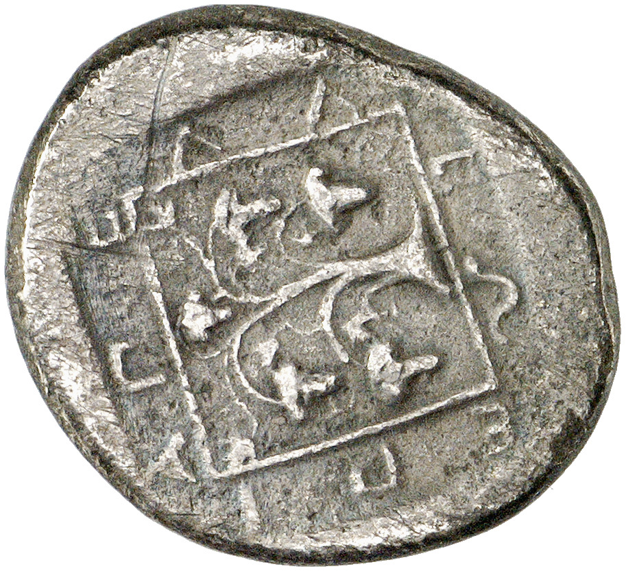 реверс CN Type cn.maroneia.1_ed.140