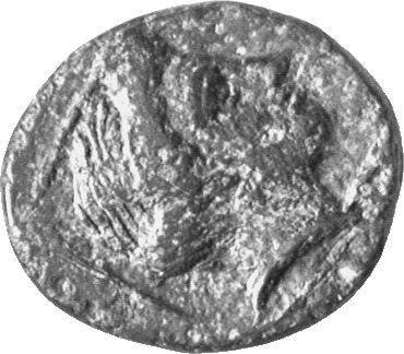 CN Type cn.cardia.1_ed.19, аверс, cn-coins