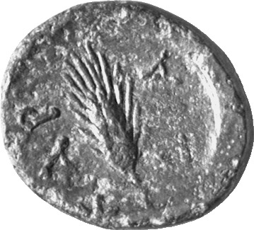 CN Type cn.cardia.1_ed.19, реверс, cn-coins