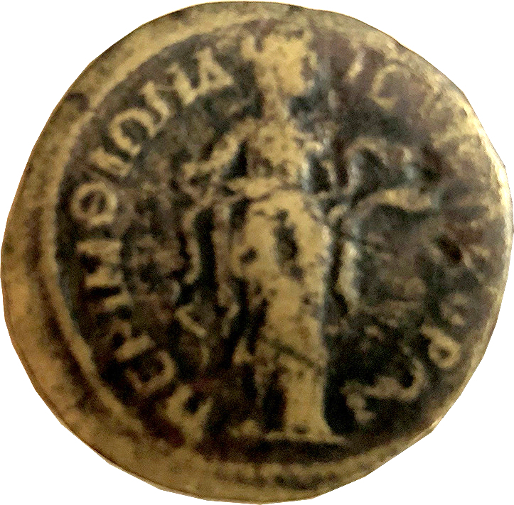 реверс CN Type cn.perinthus.1_ed.516