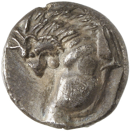 CN Type cn.chersonesus_thrace.1_ed.96, аверс, cn-coins