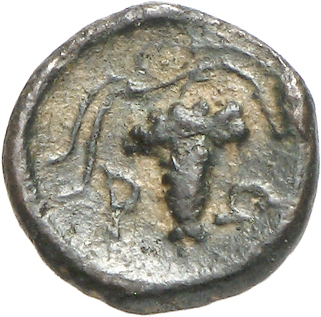 реверс CN Type cn.maroneia.1_ed.135