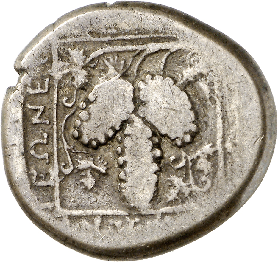 реверс CN Type cn.maroneia.1_ed.173
