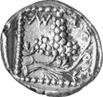 реверс CN Type cn.maroneia.1_ed.108