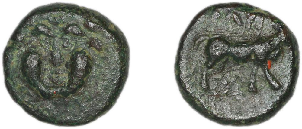 CN Type 21242, аверс, cn-coins