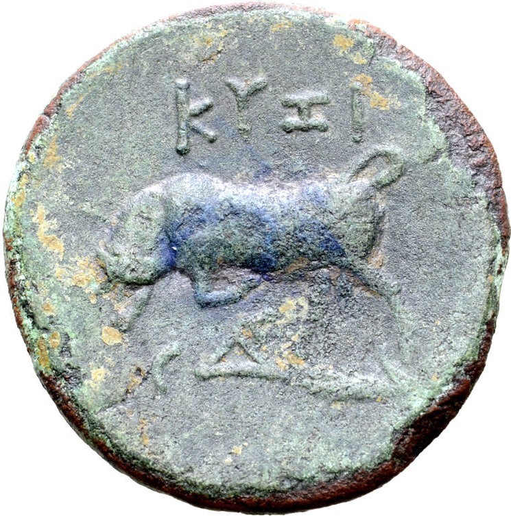 реверс CN Type 21330