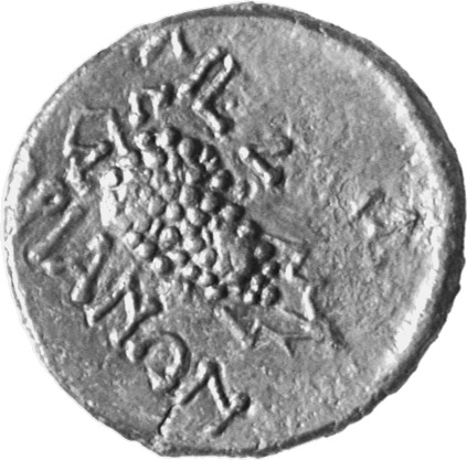 реверс CN Type cn.mesembria.1_ed.187