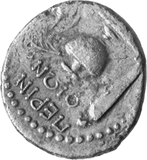 реверс CN Type cn.perinthus.1_ed.44