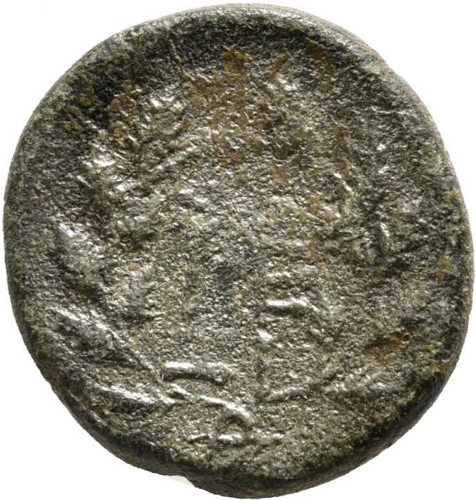 CN Type 19946, реверс, cn-coins