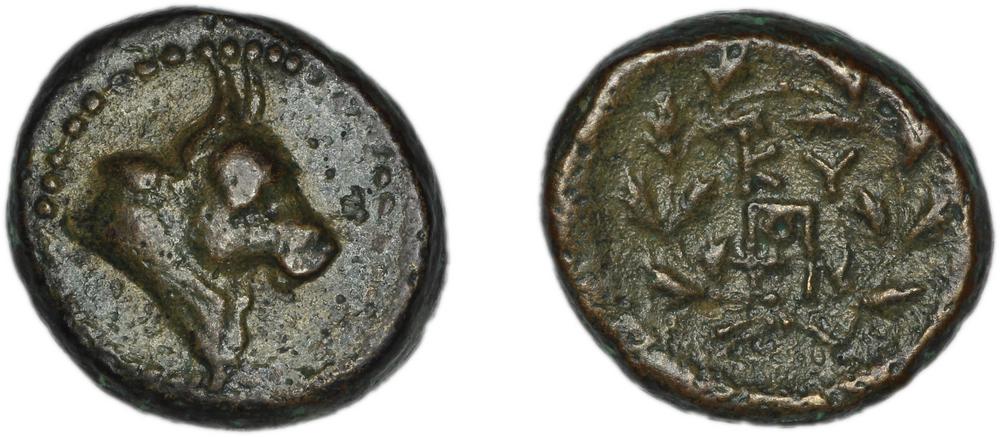 CN Type 19958, реверс, cn-coins