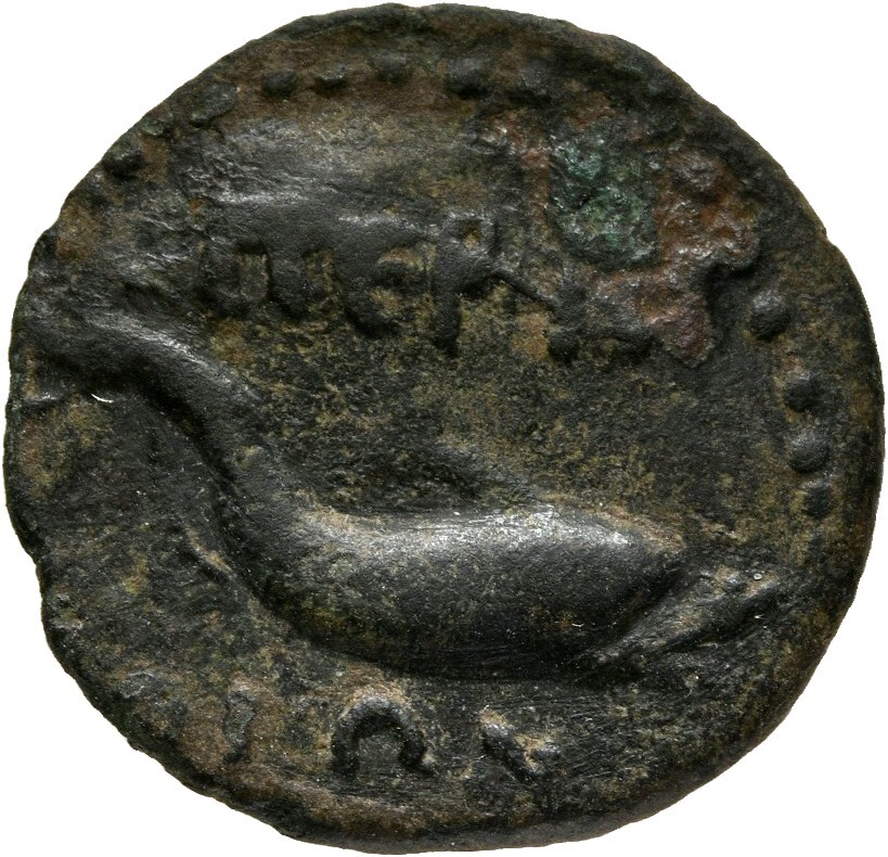 реверс CN Type cn.perinthus.1_ed.49