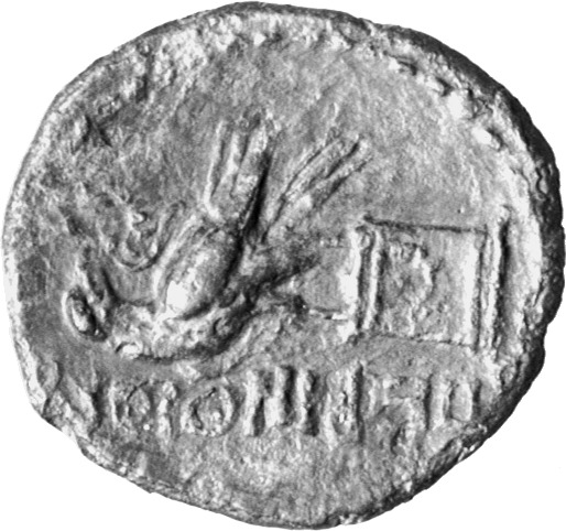 реверс CN Type cn.perinthus.1_ed.47