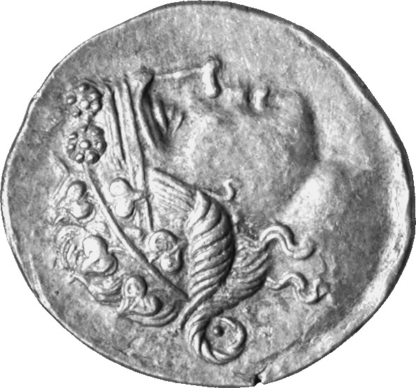 CN Type cn.thasos.1_ed.120, аверс, cn-coins