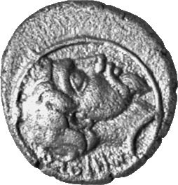 CN Type cn.amadocus_i_odrysian_thrace.1_ed.2, аверс, Corpus Nummorum