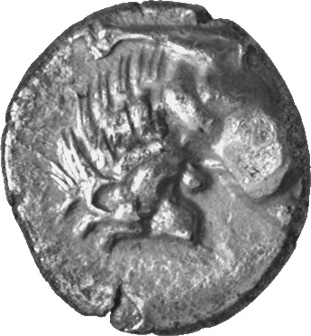 CN Type cn.chersonesus_thrace.1_ed.96, аверс, cn-coins