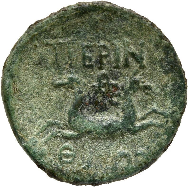 реверс CN Type cn.perinthus.1_ed.21