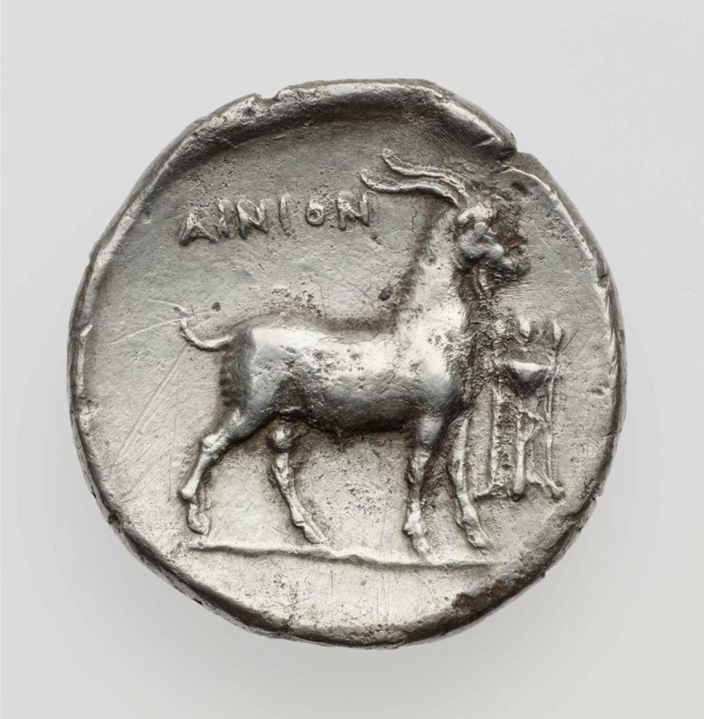 реверс CN Type cn.aenus.1_ed.119