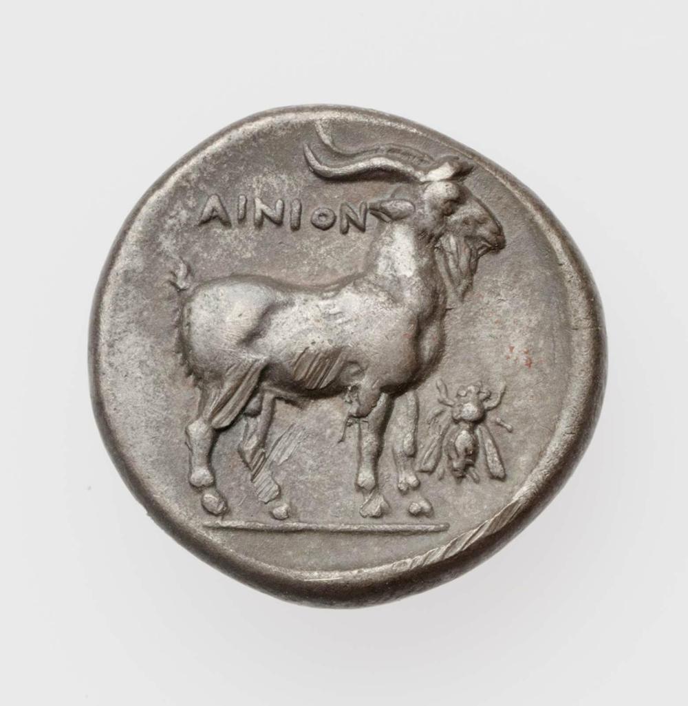 реверс CN Type cn.aenus.1_ed.112