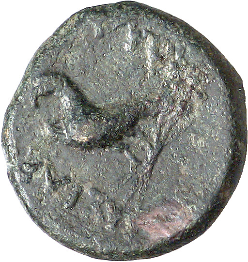 CN Type cn.sadales_sapaean_thrace.1_ed.1, реверс, cn-coins