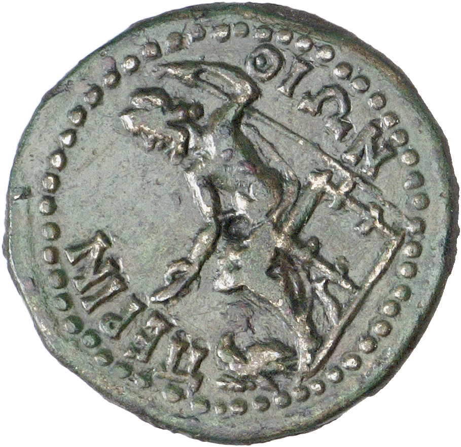 реверс CN Type cn.perinthus.1_ed.54