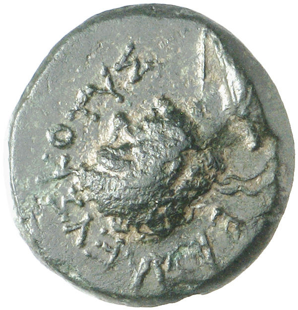 CN Type cn.rhaescuporis_i_sapaean_thrace.1_ed.1, аверс, cn-coins