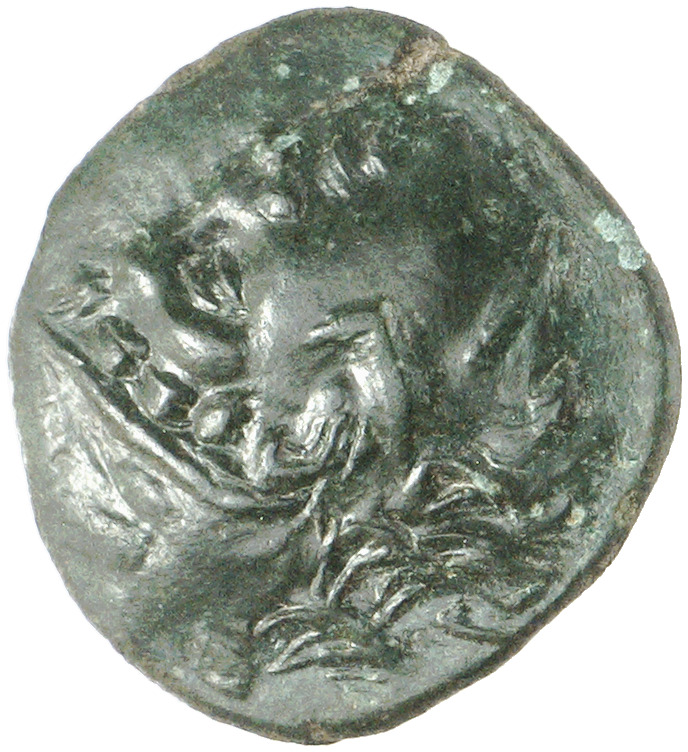 CN Type cn.odrysae.1_ed.1, аверс, cn-coins