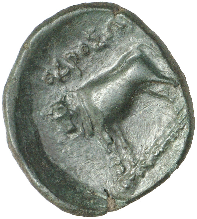 CN Type cn.odrysae.1_ed.1, реверс, cn-coins