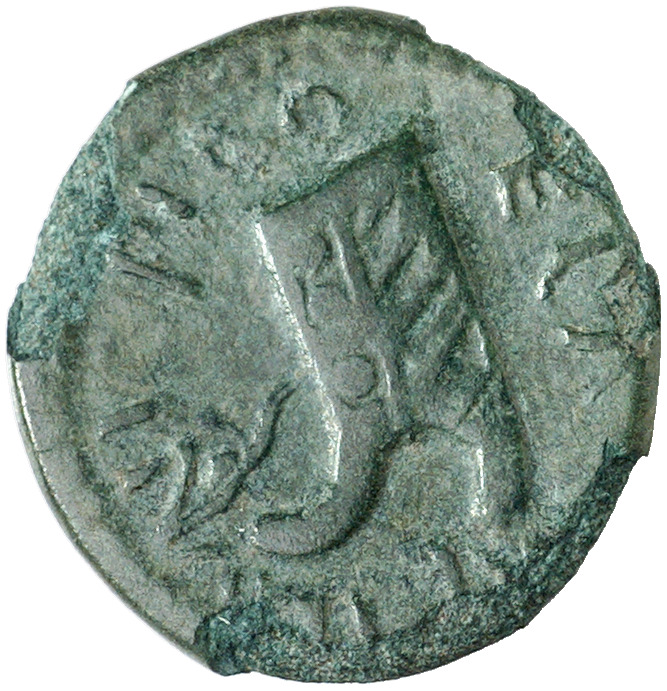 реверс CN Type cn.coela.1_ed.96