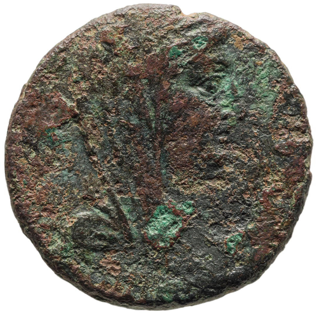 CN Type cn.perinthus.1_ed.56, аверс, cn-coins