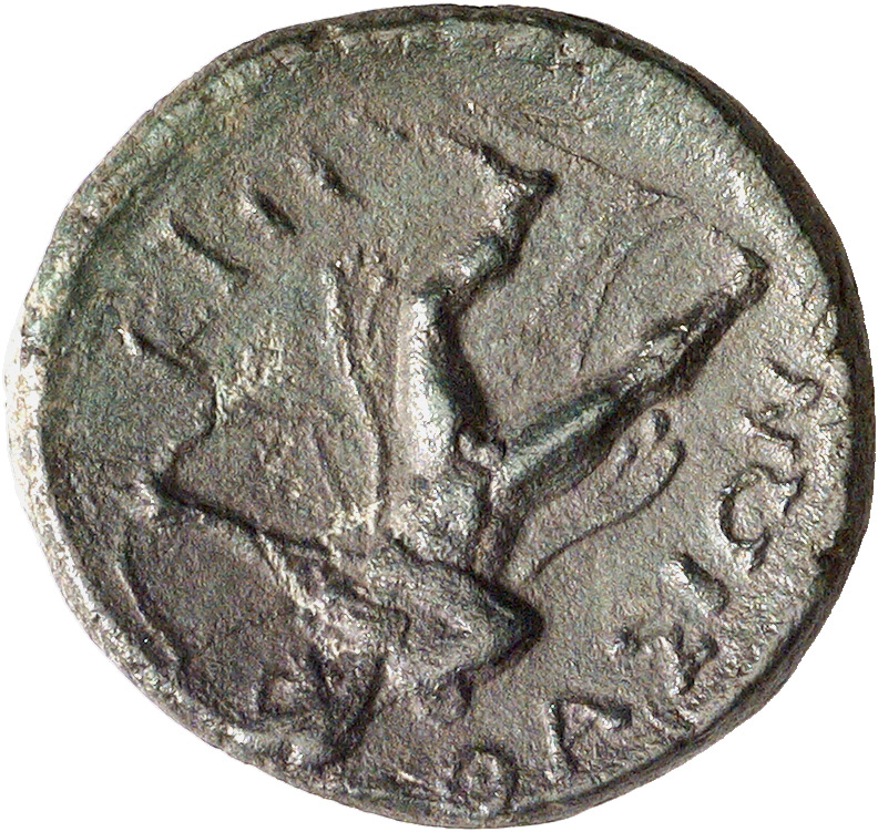 реверс CN Type cn.thasos.1_ed.142