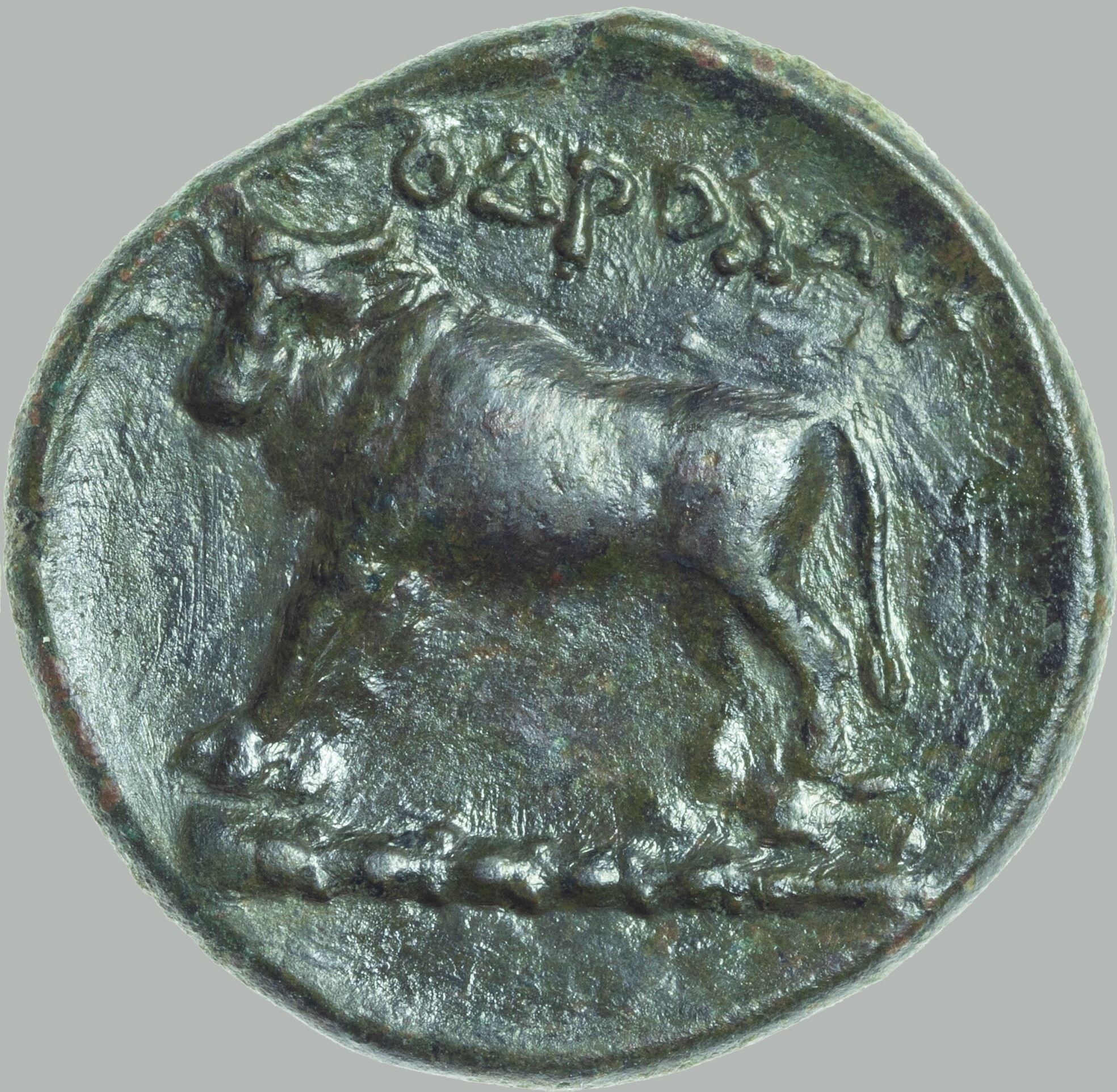 CN Type cn.odrysae.1_ed.1, реверс, cn-coins