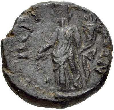 реверс CN Type cn.perinthus.1_ed.260