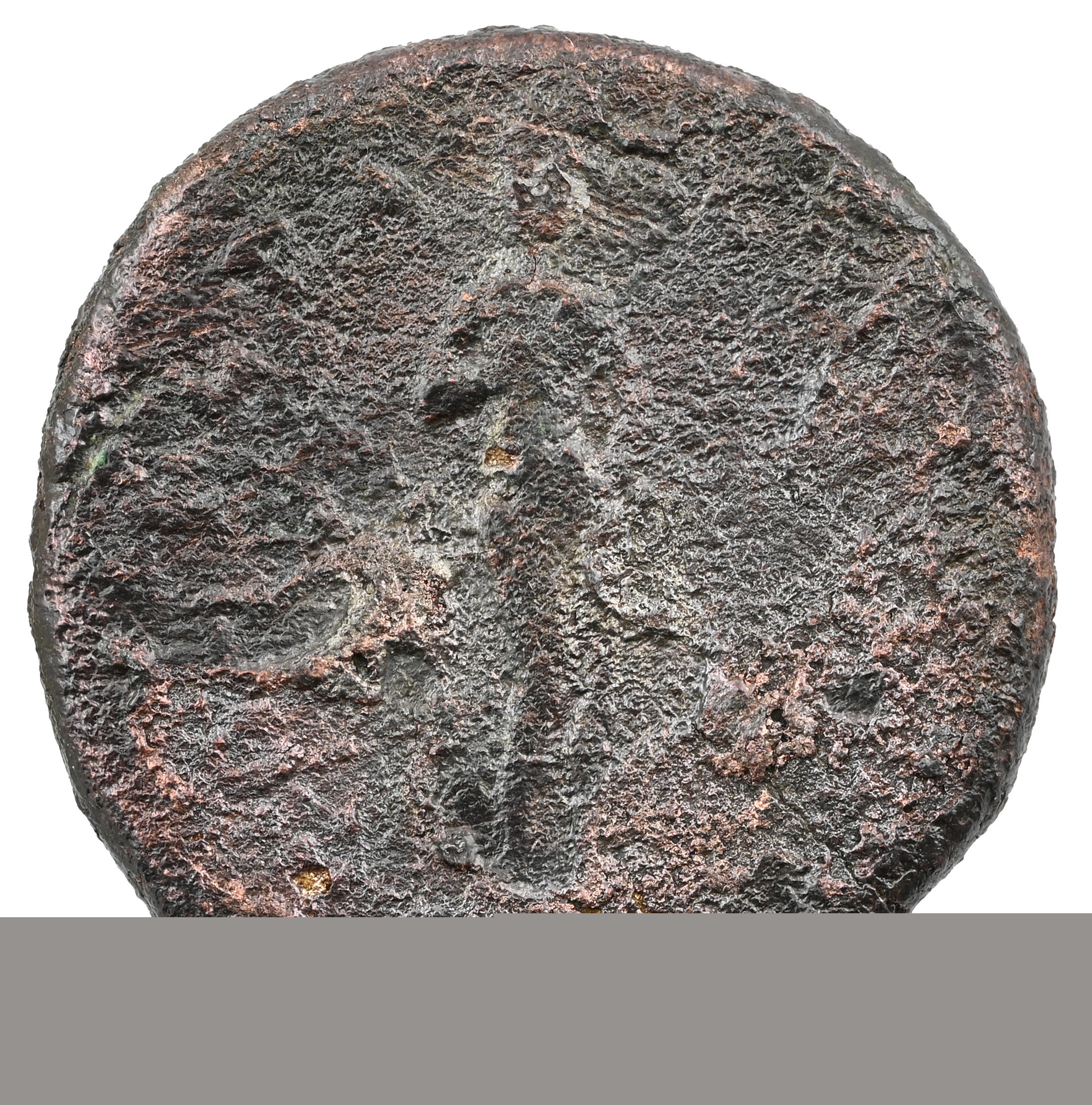coin rev
