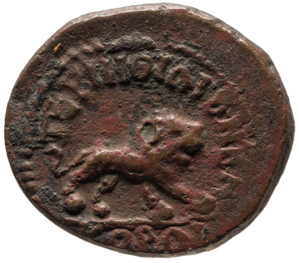 реверс CN Type cn.perinthus.1_ed.472